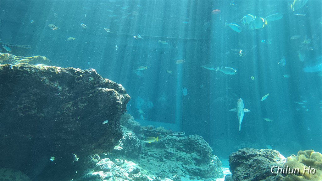 沖縄美ら海水族館